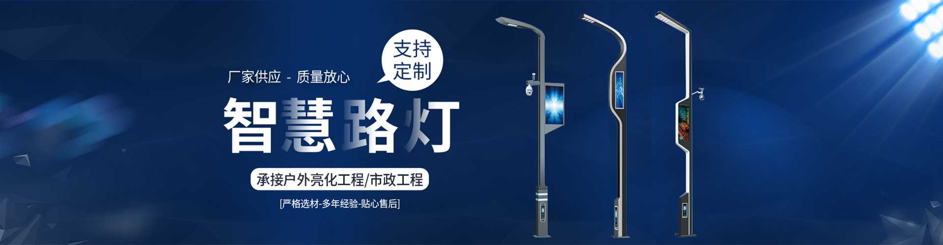 右江区太阳能路灯定制厂家